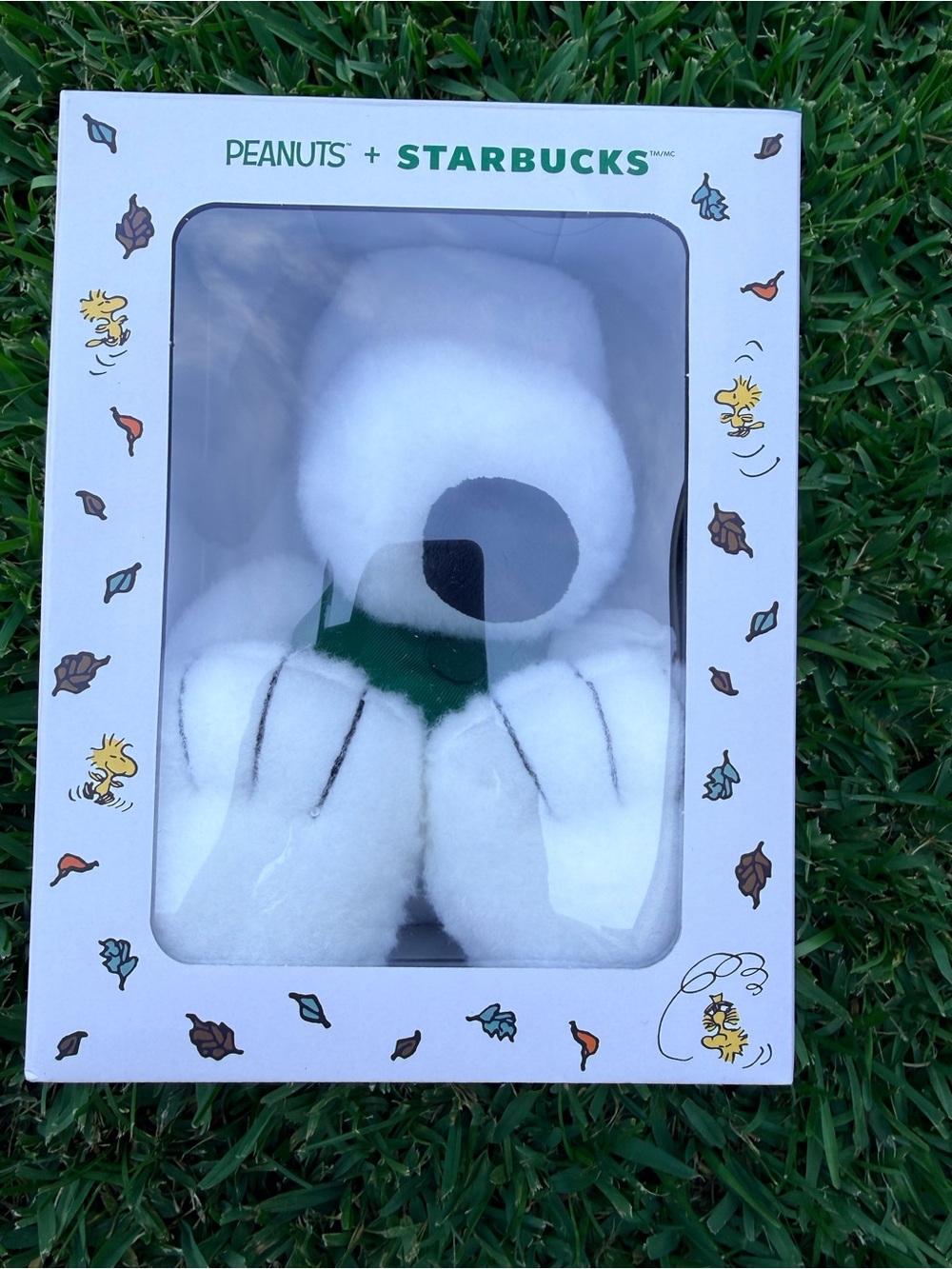 Starbucks Snoopy Plush with Green Scarf - Peanuts Collectible